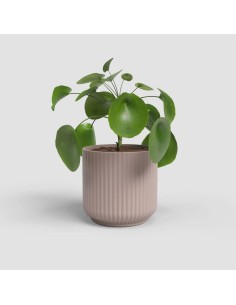 VASO LUNA 9CM ROSA CLARO -... 2