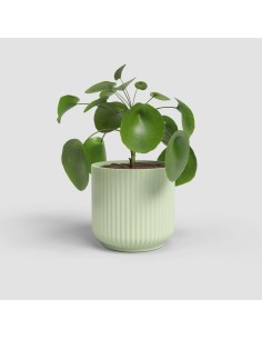 VASO LUNA 7CM VERDE CLARO -... 2
