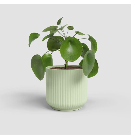 VASO LUNA 9CM VERDE CLARO - 48854