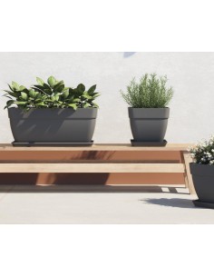 PRATO CAPRI XL RETANGULAR... 2