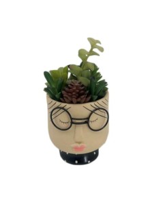 PLANTA DOLOMITE C/VASO...