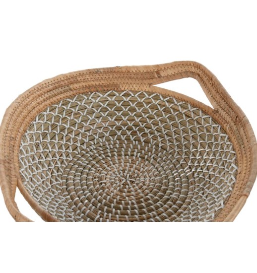 FRUTEIRA CENRO MESA JUNCO SEAGRASS...