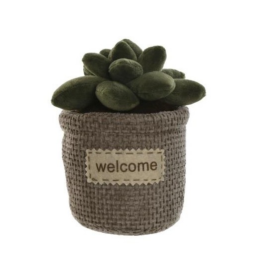 PRENDEDOR DE PORTAS C/SUCULENTAS...