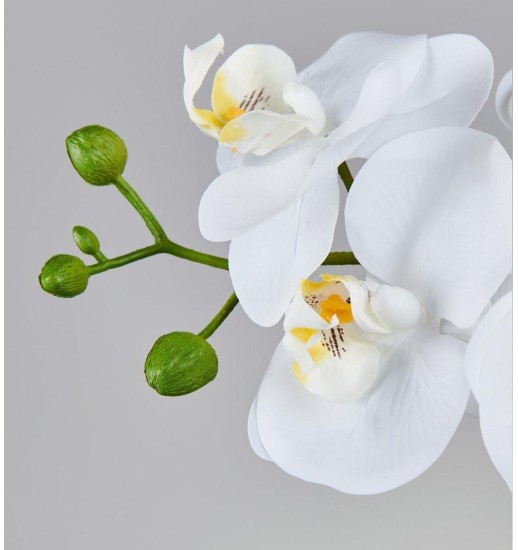 ORQUIDIA PHALAENOPSIS REAL TOUCH...
