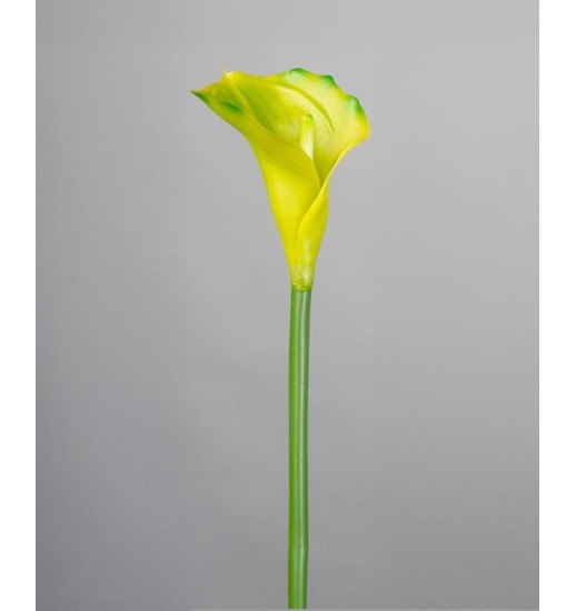 PLANTA CALA VERDE 73 CM - 472-196