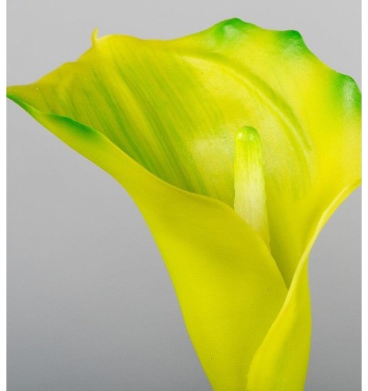 PLANTA CALA VERDE 73 CM - 472-196