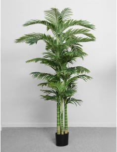 PLANTA PALMERA 220 CM -...