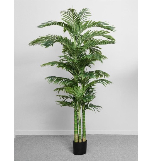 PLANTA PALMERA 220 CM - 616-119