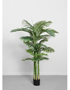 PLANTA PALMERA 180 CM -...