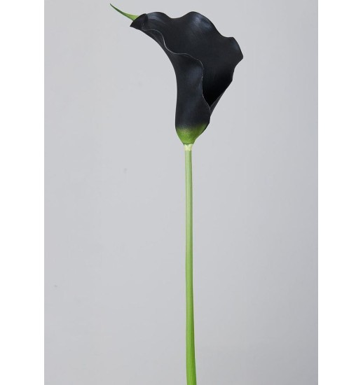 PLANTA CALA NEGRA 82 CM - 675-003
