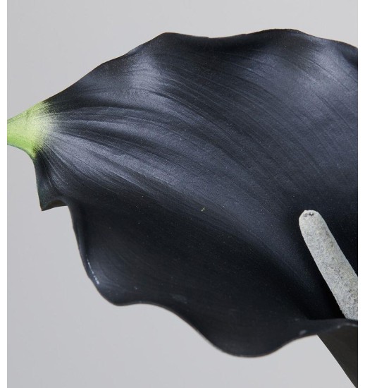 PLANTA CALA NEGRA 82 CM - 675-003