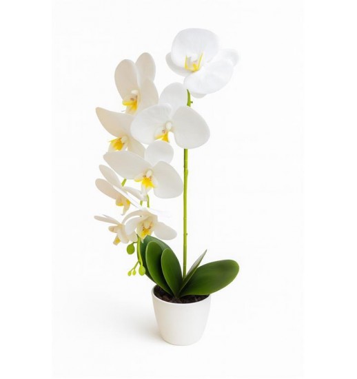 ORQUIDEA ARTIFICIAL 55CM - 127034603