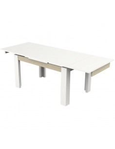 MESA SALA EXT. 2 TOPOS... 2