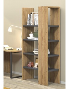 ELEMENTO PRATELEIRAS CELTA...