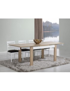 MESA SALA EXT. 2 TOPOS... 2