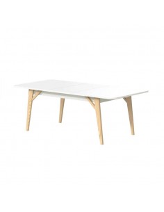 MESA SALA EXT IBIZA... 2