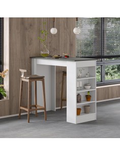 MESA BAR AFEIRA SWALLOW... 2