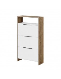 ARMARIO MULTIUSO AFEIRA...