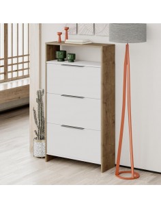 ARMARIO MULTIUSO AFEIRA... 2