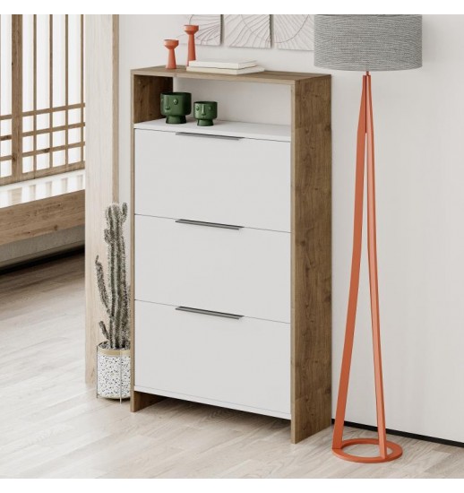 ARMARIO MULTIUSO AFEIRA KAJU SHOE...