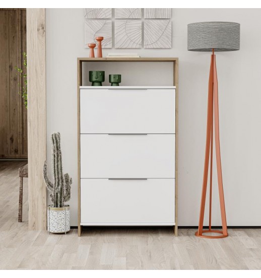 ARMARIO MULTIUSO AFEIRA KAJU SHOE...