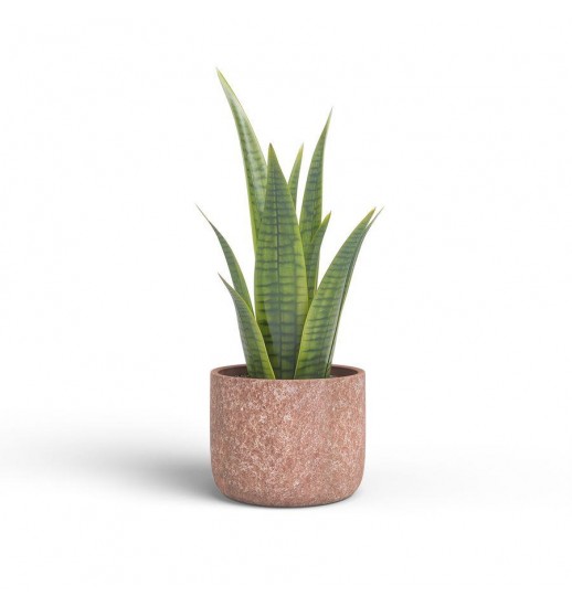 VASO CASSIO 21CM MA CASTANHO MOCHA -...