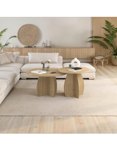 CONJUNTO MESA CENTRO AFEIRA... 2
