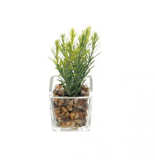 VASO VIDRO TRANSPARENTE COM PLANTA...